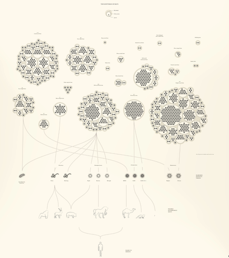 Flow Chart Visualization